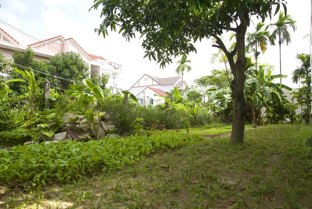 Hoian Joy Homestay Χόι Αν Εξωτερικό φωτογραφία